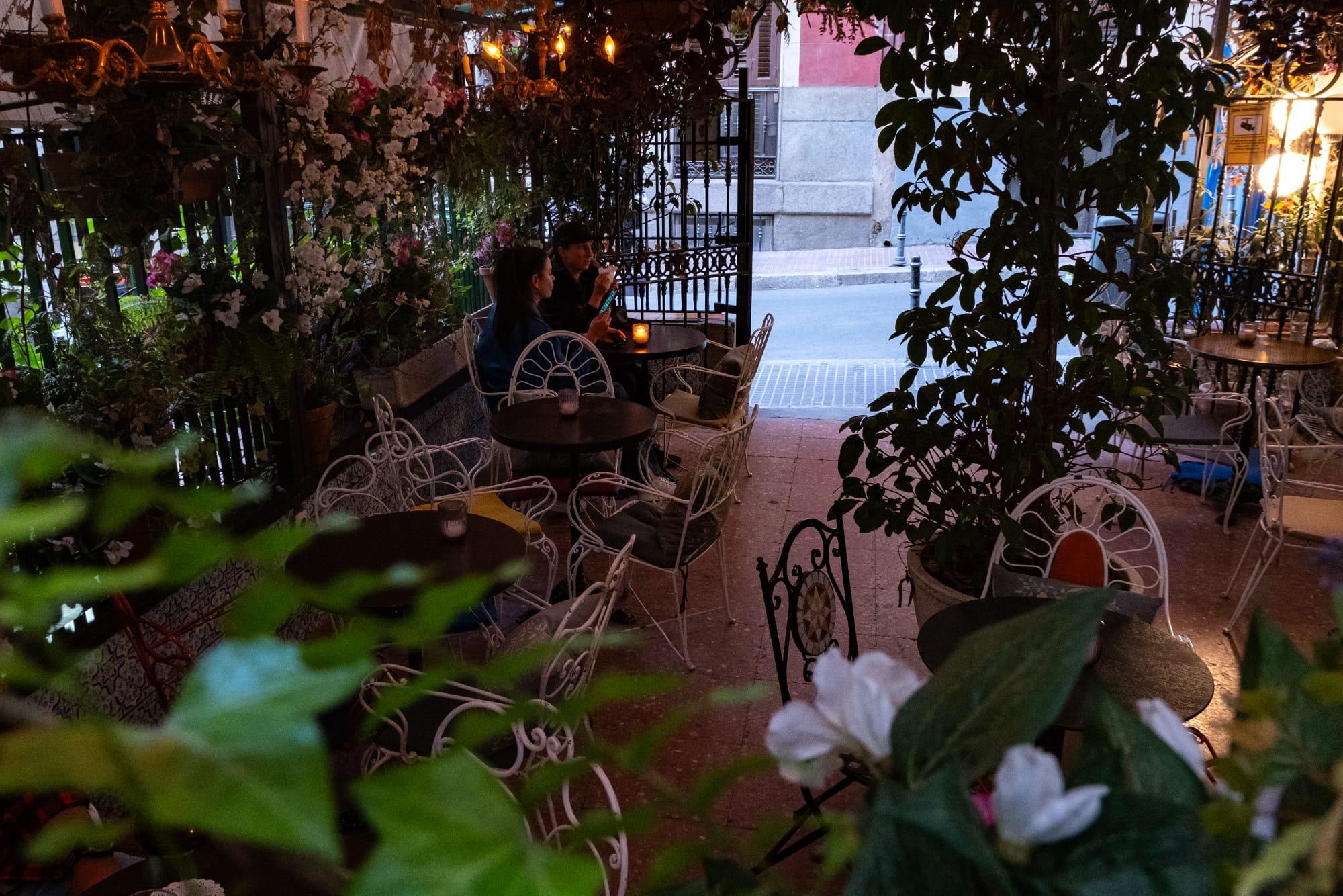 Whisky & Tapas